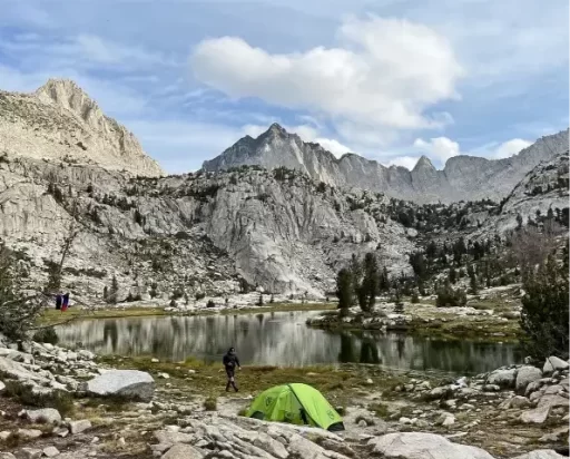 50ee2f 0ad0a020d1604b619ed849e2d8dc0307mv2 3 e1768861822218