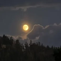 2e6b28 1d111279eeb04b0b809872a529461372mv2