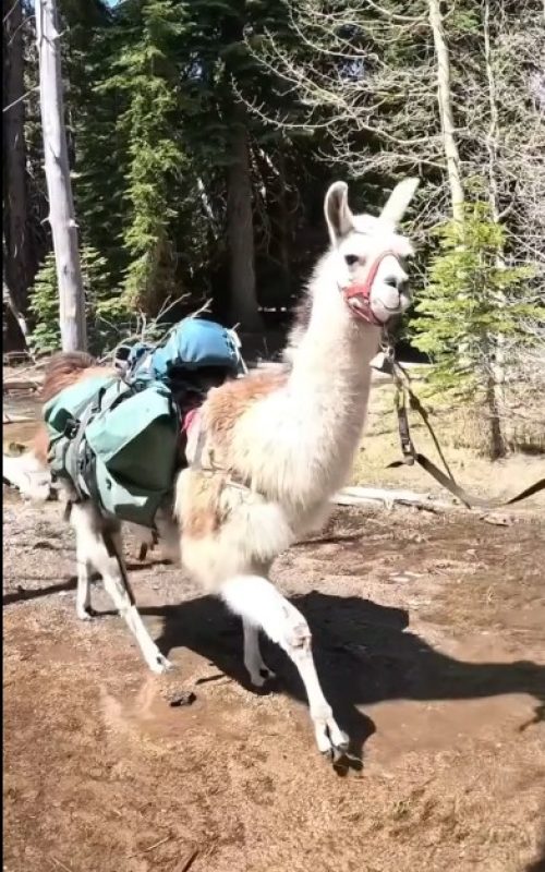 Screenshot 2026 01 26 134816